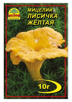 Мицелий "Лисичка Желтая" 10 г