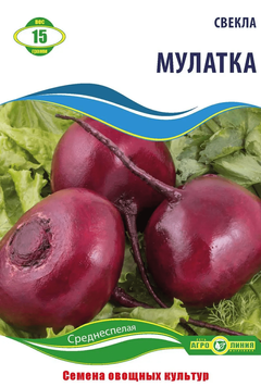 Семена свеклы "Мулатка" 15 г фото