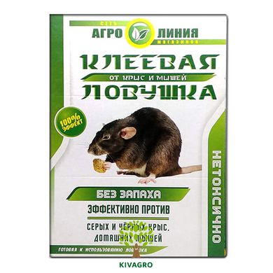 Книжка клеевая от крыс и мышей 300х210 мм (большая)