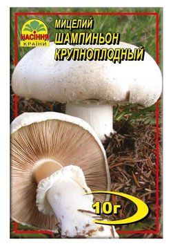 Мицелий "Шампиньон Крупноплодный" 10 г фото