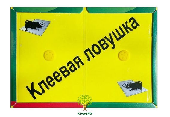 "Книжка клейова" 24х17 см (маленька) фото