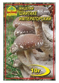Мицелий "Шиитаке Императорский" 10 г фото