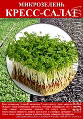 Насіння Кресс-салату на мікрозелень 0.5 кг