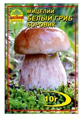 Міцелій "Білий гриб Боровик" 10 г